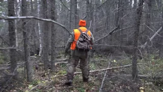 JT Bags his first Manitoba black bear!