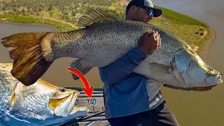 Worlds BIGGEST Barramundi caught on film EVER!