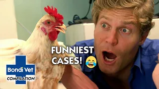 Bondi Vet's Funniest Cases 😂 | Compilation | Bondi Vet