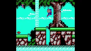 Captain America and The Avengers (NES) (All Stages/No Damage) (4K/60FPS)