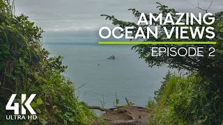 8 HRS Ocean Sounds & Birds Songs for Deep Relaxation and Rest - Amazing Ocean Views - Ep. #2