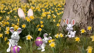 Футаж 🐇 Пасхальные зайцы🐰 Easter background 🐇