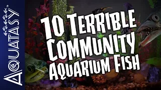 Aquatasy Countdown - 10 Terrible Community Aquarium Fish