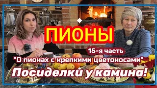 Посиделки у камина. Часть 15. О пионах с крепкими цветоносами / Сад Ворошиловой