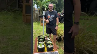 GrowBot Review - Hydroponic - Raised Garden