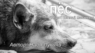 пёс (Автор: Надя Лукина)