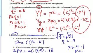 Hardy Weinberg Problems Step by Step