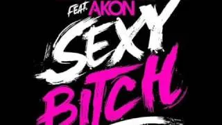 Akon Feat  David Guetta   Sexy Bitch