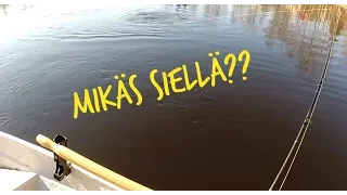 Mikä siellä nyt on kiinni? | Kevään ensimmäiset kalat