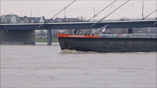 Binnenschiff Almenhof auf dem Rhein bei Pegel 825