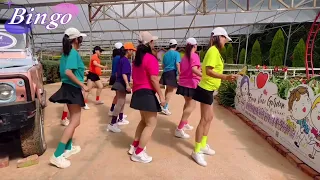 5️⃣4️⃣Bingo Line dance|Dance by Summer group