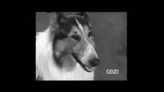 Lassie - Episode #305 - "A specialist for Lassie" - Season 9, Ep 14 - 01/13/1963