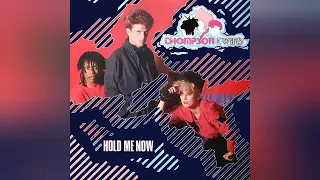 Thompson Twins - Hold Me Now (Extended 12" Version) (Audiophile High Quality)