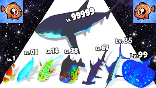 Fish Rush - Level Up Shark Max Level Gameplay, New Gameplay (Fish Evolution Run)
