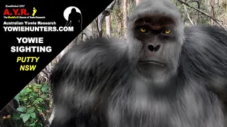 Yowie / Bigfoot Sighting (Audio Report #191), near Putty New South Wales