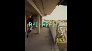 Elf & Darkness - Bad Breed (Official Video)