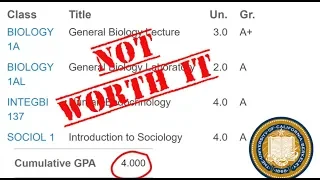 Why My 4.0 at UC Berkeley Actually Hurt Me