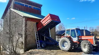 Kauran lajittelua Petkus Super K 541