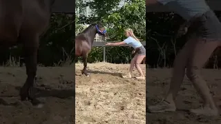 Horsr girl #short #tiktok iktok #horse #trending #carryminati #viral#2022(3)