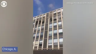 Cat lands jump from fifth floor window of a burning building