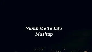 Linkin Park/Evanescence - Numb me to life : Lyrical Video