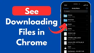 How to See Downloading Files in Chrome iPhone (Quick & Simple)