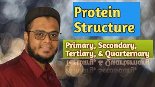 Biochemistry of Proteins| Structure | Primary Secondary Tertiary & Quarternary | NEET | NCERT