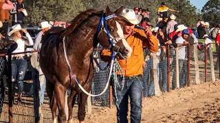 El Sueño Vs El Boomerang | Taste Coyotes Durango Mex.