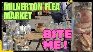 Milnerton Flea Market, Volume 2 | Cape Town | South  Africa | Bite Into This!