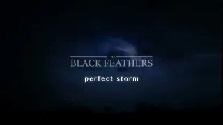 The Black Feathers | Perfect Storm Lyric Video