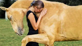 Tiere Treffen Ihre Besitzer Nach Jahren Wieder!