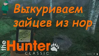 theHunter Classic. Охота в Альпах на европейских кроликов.