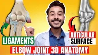 Elbow joint anatomy 3d | ligaments of elbow joint anatomy | anatomy of elbow joint ligaments