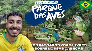 DISCOVER THE LARGEST BIRD PARK IN LATIN AMERICA WITH ME 🦜 - Iguaçu #2