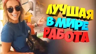 20 МИНУТ ОТБОРНЫХ ПРИКОЛОВ ¦ ЛУЧШИЕ ПРИКОЛЫ 2019 ржака до слез прикол   Это Вам не веселуха #8