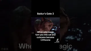 Baldur's Gate 3 CATscene #baldursgate3 #larianstudios #gaming #videogames #cat #memes