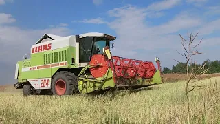 ŻNIWA 2023 - RZEPAK😱CLAAS DOMINATOR MEGA 204 & CLAAS TUCANO 430⚡️