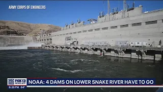 NOAA says 4 dams on lower Snake River have to go | FOX 13 Seattle