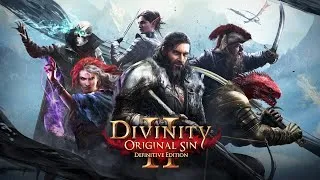 Прохождение Divinity: Original Sin 2 - [PS4Pro - часть 1]