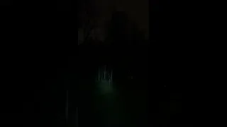 Strange Loud Screeching Sound Heard On My Property!!! Please Tell Me What Is This!!! Part 2