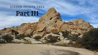 Hidden Joshua Tree | Part III | Bouldering, Hiking, and Discovering Petroglyphs and Pictographs