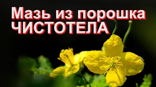 Мазь из порошка Чистотела. Простой рецепт!