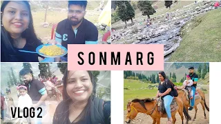 Kashmir Vlog 2 | Sonmarg | Thajiwas Glacier | How our day 2 spent in Kashmir | Srinagar - Sonmarg