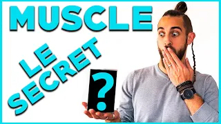 LE SECRET de la prise de masse musculaire!!! (hypertrophie, protéines, musculation, muscle...)