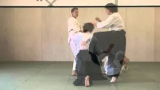 Aikido, defensive techniques against kicks.