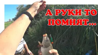 Дикий Сазан на Удочку ▶ Fishing 2023 | #Vovabeer