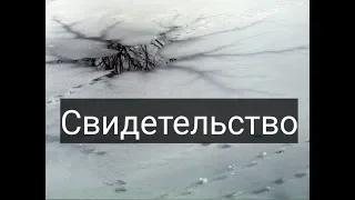 Свидетельство. В 9 лет провалился под лёд на праздник Крещения.