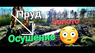 Осушения болота! Работа Экскаватора