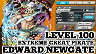 LEVEL 100 EXTREME GREAT PIRATE EDWARD NEWGATE GAMEPLAY