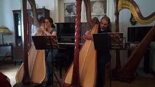 Maurice Ravel: Ma Mère l'Oye - Pavane de la belle au bois dormant (Two harps)